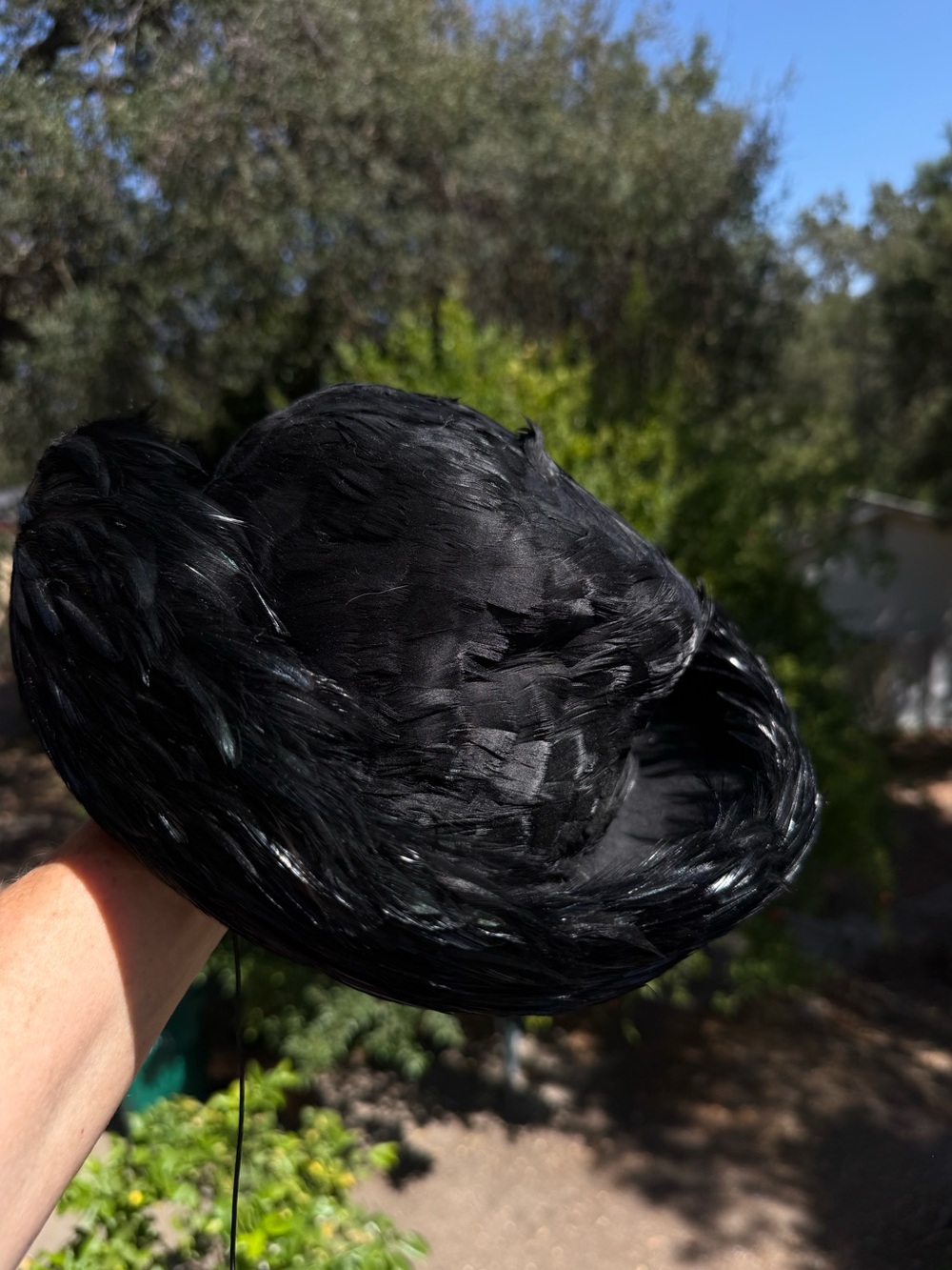 Jillé Vintage Feather hat black shiny feathers - wool hat base - Estate Find